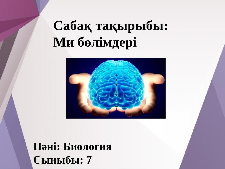 Сабақ тақырыбы: Ми бөлімдері Пәні: Биология Сыныбы: 7