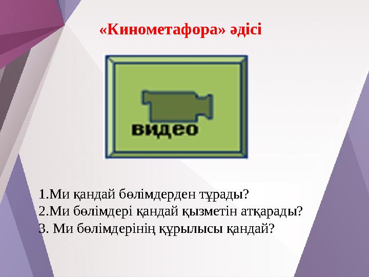 «Кинометафора» әдісі 1.Ми қандай бөлімдерден тұрады? 2.Ми бөлімдері қандай қызметін атқарады? 3. Ми бөлімдерінің құрылысы қандай