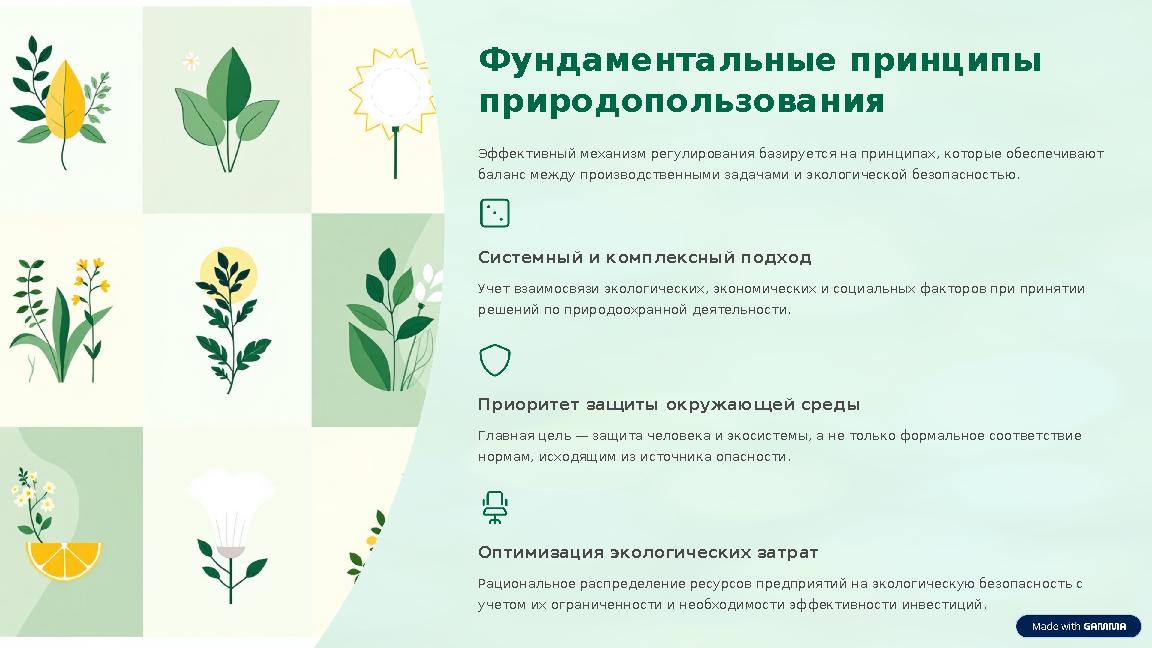 Фундаментальные принципы природопользования Эффективный механизм регулирования базируется на принципах, которые обеспечивают