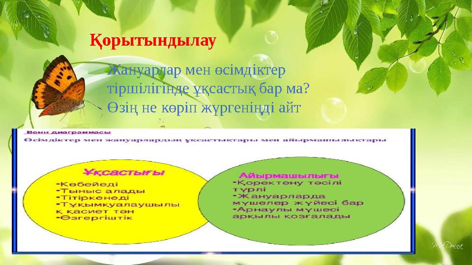 Қорытындылау Жануарлар мен өсімдіктер тіршілігінде ұқсастық бар ма? Өзің не көріп жүргеніңді айт