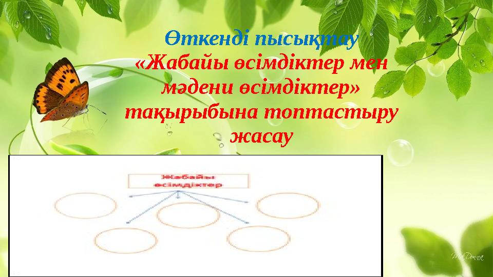 Өткенді пысықтау «Жабайы өсімдіктер мен мәдени өсімдіктер» тақырыбына топтастыру жасау