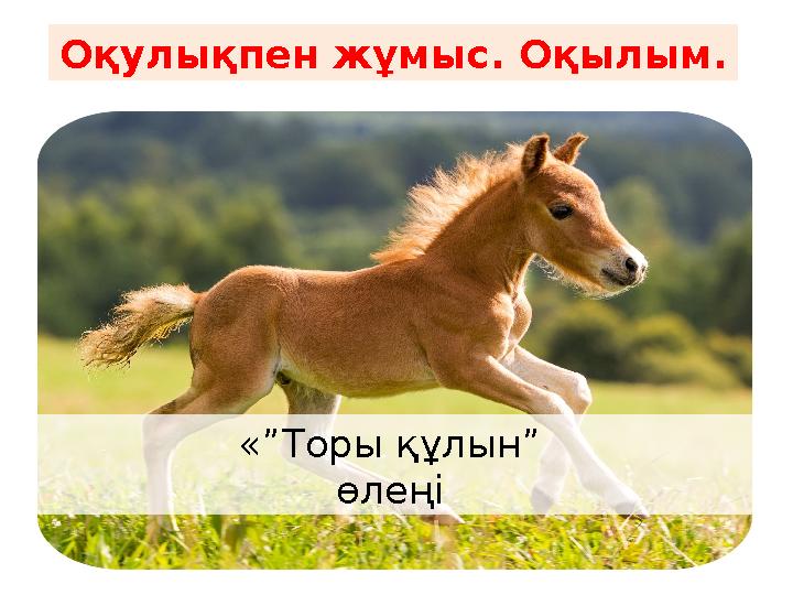 Оқулықпен жұмыс. Оқылым. «”Торы құлын” өлеңі