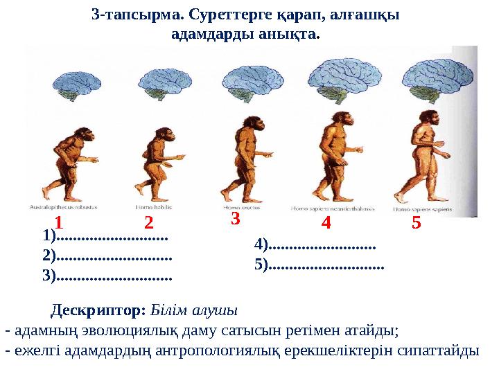 3-тапсырма. Суреттерге қарап, алғашқы адамдарды анықта. 1)........................... 2)............................ 3)........