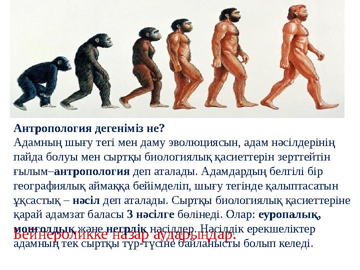 Бейнероликке назар аударыңдар. Антропология дегеніміз не? Адамның шығу тегі мен даму эволюциясын, адам нәсілдерінің пайда болу