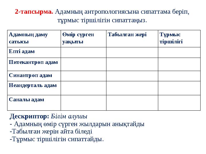 Адамның даму сатысы Өмір сүрген уақыты Табылған жері Тұрмыс тіршілігі Епті адам Питекантроп адам Синантроп адам Не