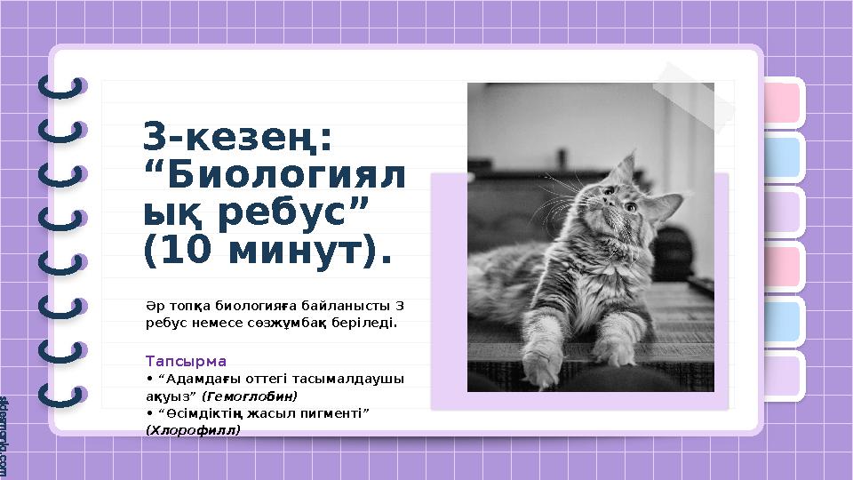 3-кезең: “Биологиял ық ребус” (10 минут). Әр топқа биологияға байланысты 3 ребус немесе сөзжұмбақ беріледі. Та
