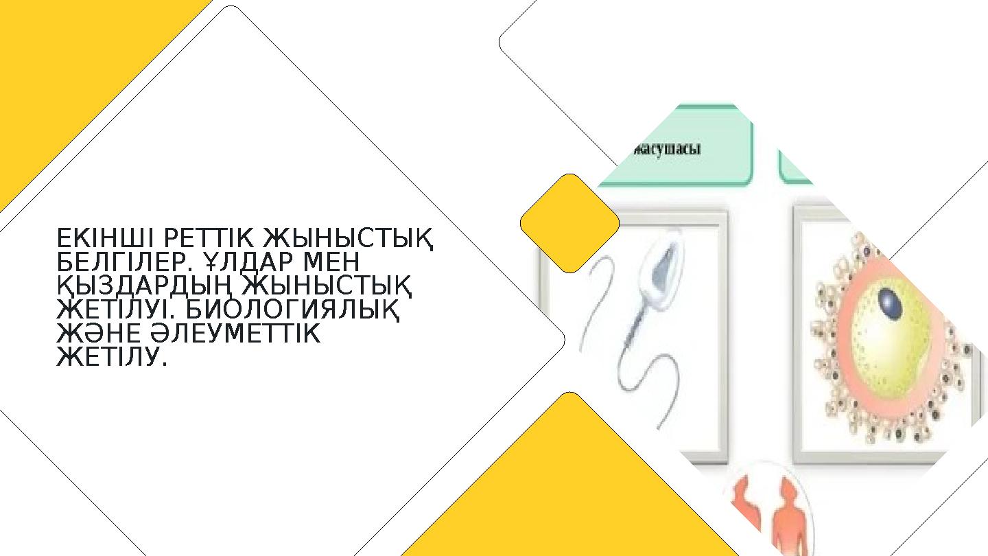 Порно фокустар