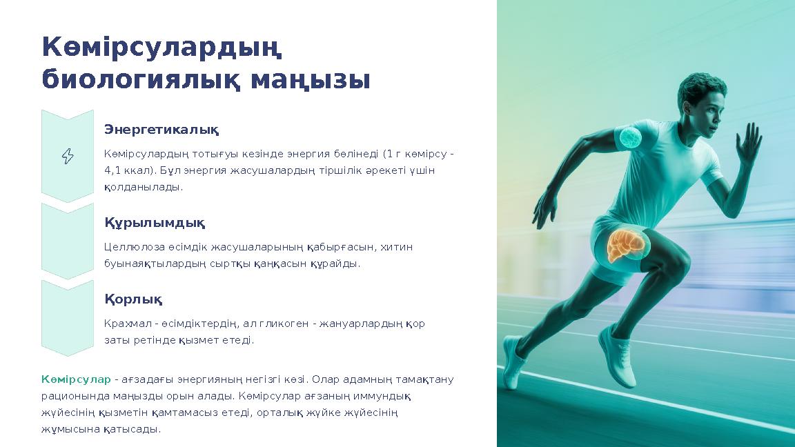 Көмірсулардың биологиялық маңызы Энергетикалық Көмірсулардың тотығуы кезінде энергия бөлінеді (1 г көмірсу - 4,1 ккал). Бұл эн
