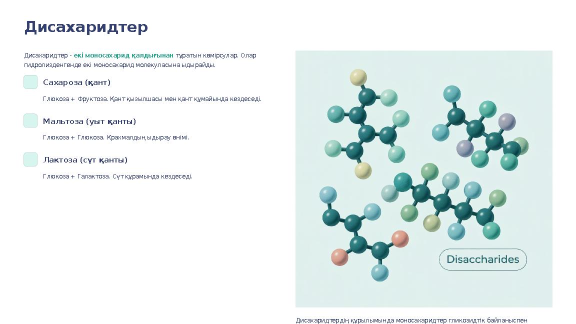 Дисахаридтер Дисахаридтер - екі моносахарид қалдығынан тұратын көмірсулар. Олар гидролизденгенде екі моносахарид молекуласына ы