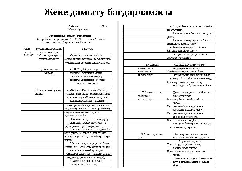 Жеке дамыту бағдарламасы