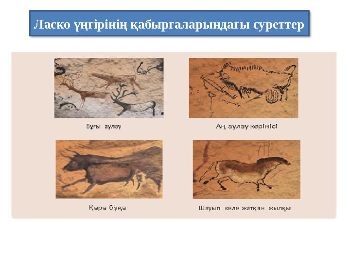 Ласко үңгірінің қабырғаларындағы суреттер Homo erectus Тік жүретін адам (питекантроп, синантроп) 1,5млн – 200 мың жыл бұры