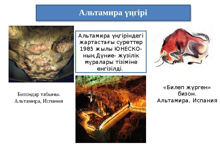 Альтамира үңгірі Бизондар табыны. Альтамира, Испания Альтамира үңгіріндегі жартастағы суреттер 1985 жылы ЮНЕСКО- ның Дүние-
