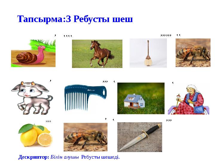 Тапсырма:3 Ребусты шеш ’‛‛‛‛ ’’’’’’‛‛ ’ ’’’‛ ‛ ’’’’ ’‛ ’’’ Дескриптор: Білім алушы Ребусты шешеді.