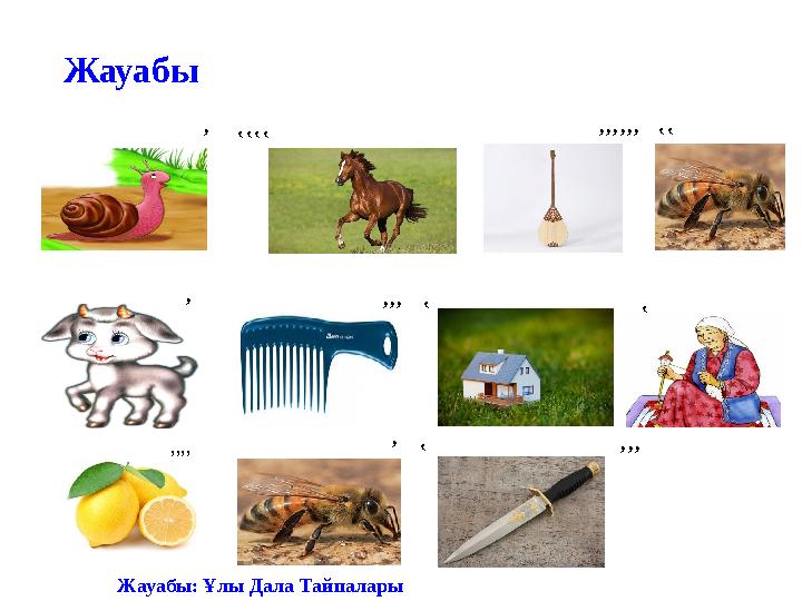 Жауабы ’‛‛‛‛ ’’’’’’‛‛ ’ ’’’‛ ‛ ’’’’ ’‛ ’’’ Жауабы: Ұлы Дала Тайпалары