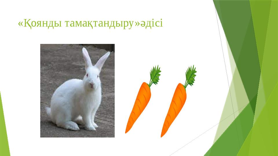 «Қоянды тамақтандыру»әдісі