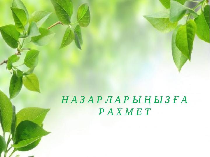 Н А З А Р Л А Р Ы Ң Ы З Ғ А Р А Х М Е Т