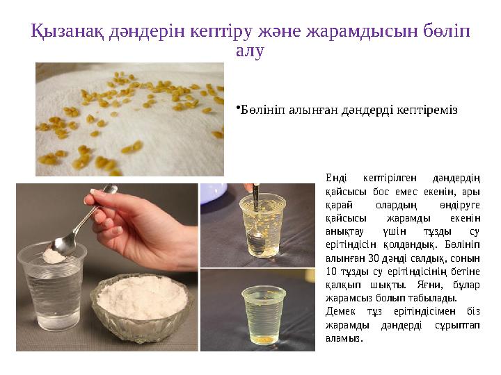 Қызанақ дәндерін кептіру және жарамдысын бөліп алу •Бөлініп алынған дәндерді кептіреміз Енді кептірілген дәндердің қайсысы бос