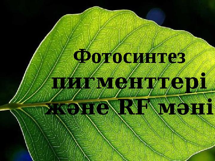 Қызметтік бөлмеде досын ренжіту