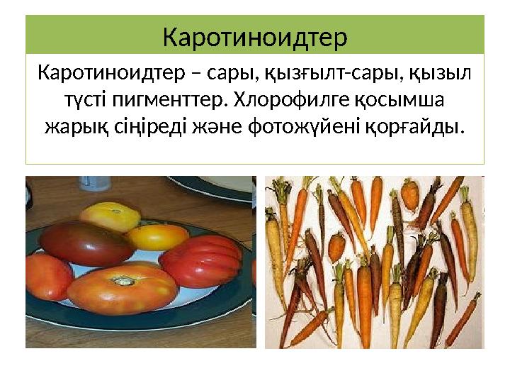 Каротиноидтер Каротиноидтер – сары, қызғылт-сары, қызыл түсті пигменттер. Хлорофилге қосымша жарық сіңіреді және фотожүйені қо