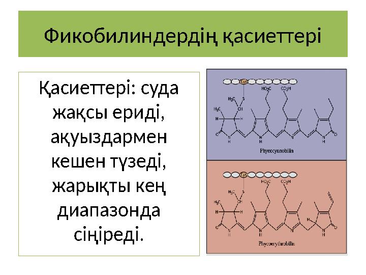 Фикобилиндердің қасиеттері Қасиеттері: суда жақсы ериді, ақуыздармен кешен түзеді, жарықты кең диапазонда сіңіреді.