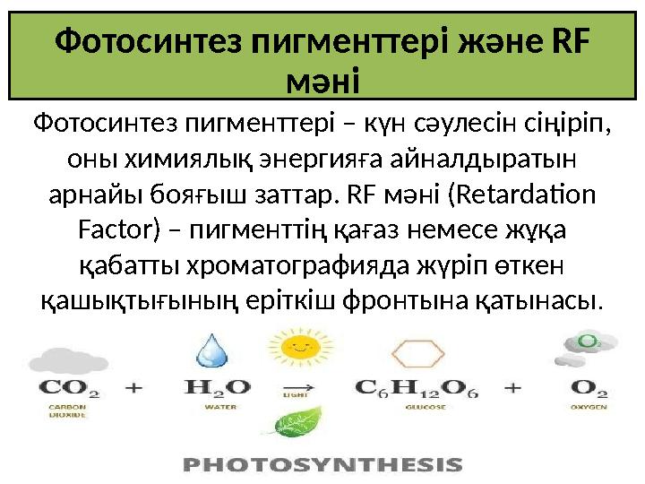 Фотосинтез пигменттері және RF мәні Фотосинтез пигменттері – күн сәулесін сіңіріп, оны химиялық энергияға айналдыратын арнайы