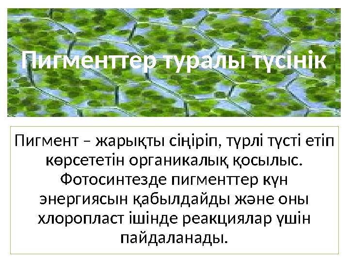Созылған пигменттің жақыннан түсірілген фотосы