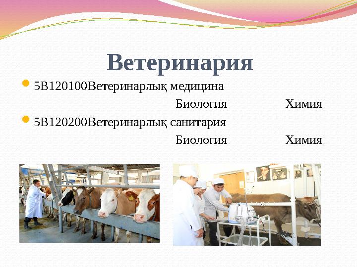 Ветеринария 5B120100Ветеринарлық медицина Биология Химия 5B12