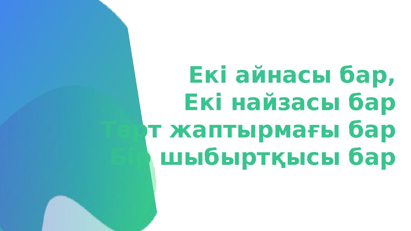 Екі айнасы бар, Екі найзасы бар Төрт жаптырмағы бар Бір шыбыртқысы бар