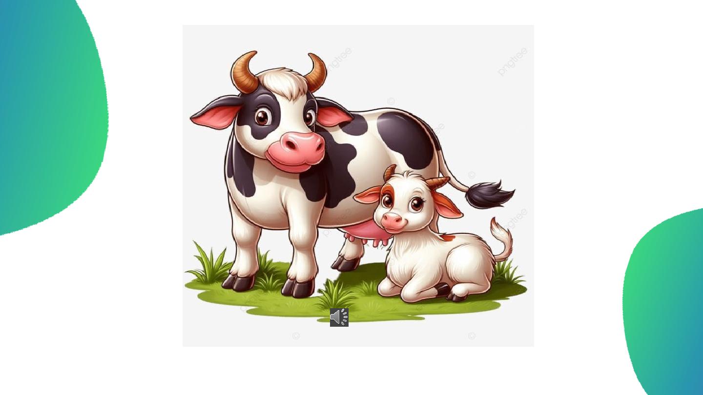 Вот как это работает: