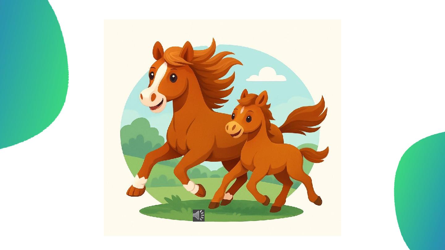 Вот как это работает: