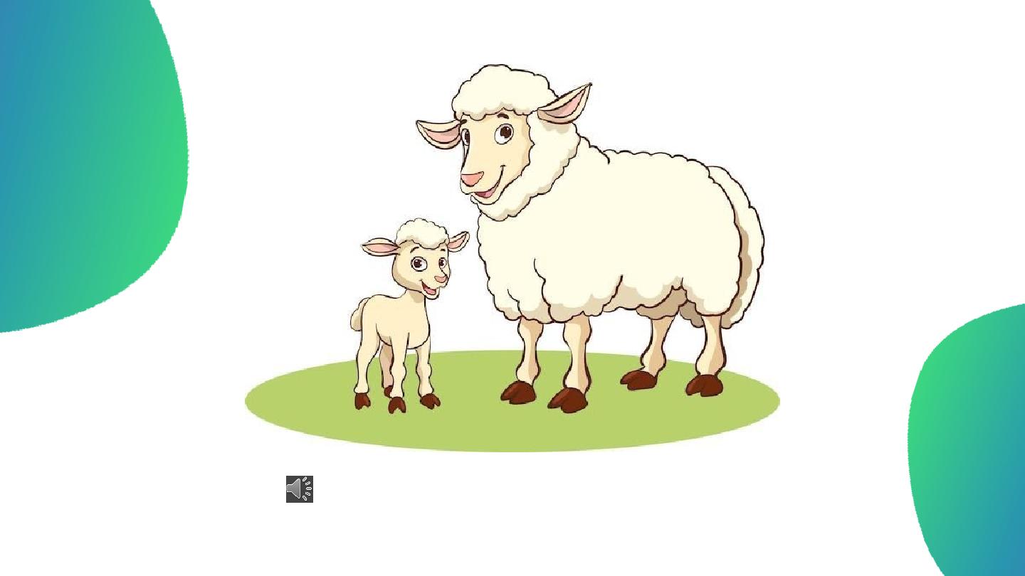 Вот как это работает: