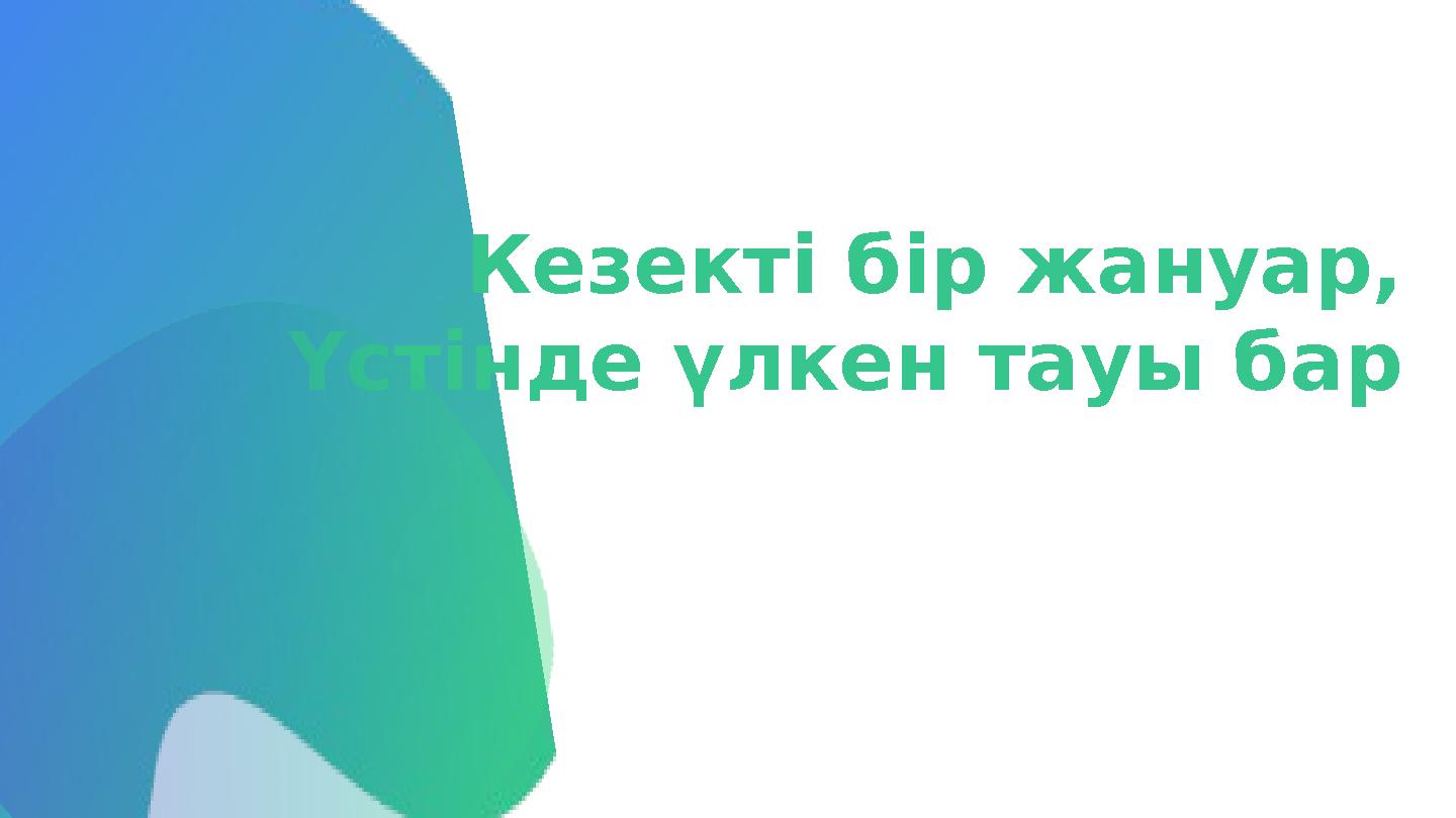 Кезекті бір жануар, Үстінде үлкен тауы бар