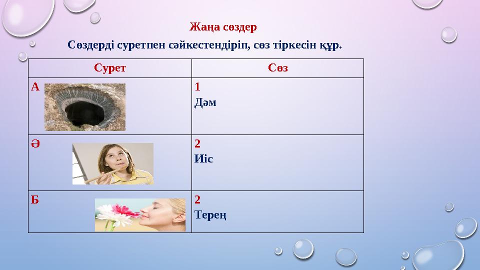 Жаңа сөздер Сурет Сөз А 1 Дәм Ә 2 Иіс Б 2 Терең Сөздерді суретпен сәйкестендіріп, сөз тіркесін құр.