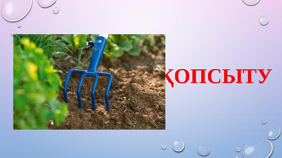 ҚОПСЫТУ