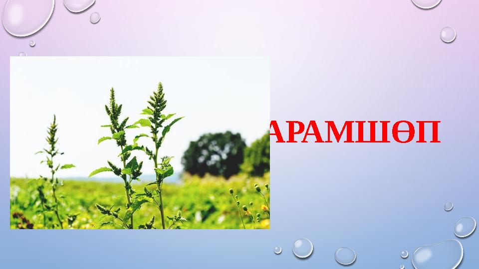 АРАМШӨП