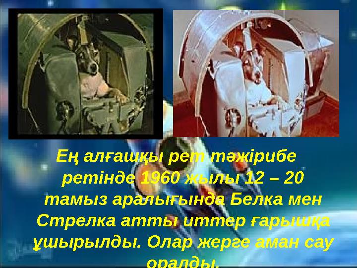 Ең алғашқы рет тәжірибе ретінде 1960 жылы 12 – 20 тамыз аралығында Белка мен Стрелка атты иттер ғарышқа ұшырылды. Олар жерге