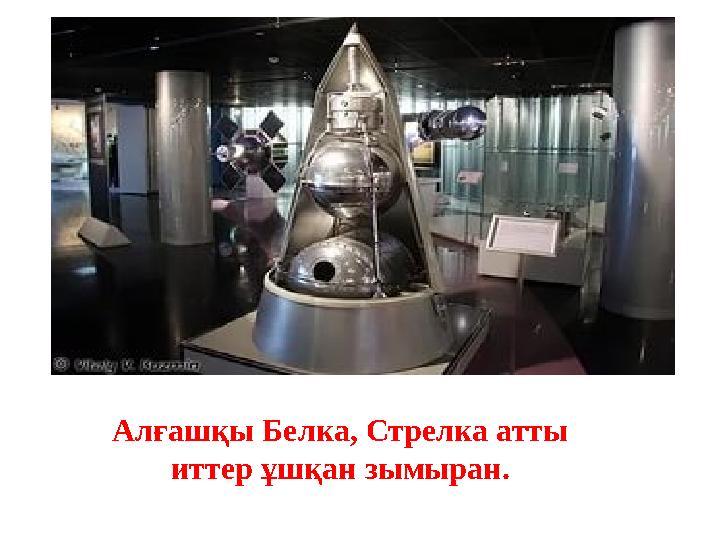 Алғашқы Белка, Стрелка атты иттер ұшқан зымыран.