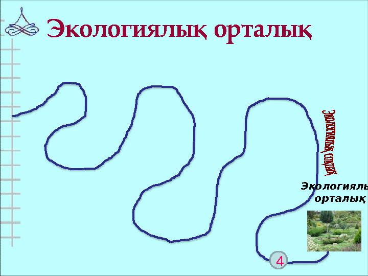 4 Экологиялық орталық Экологиялы қ орталық