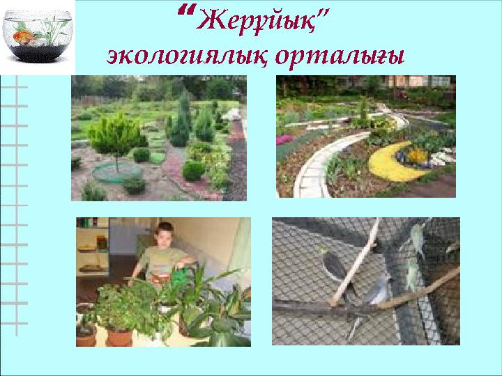 “Жерұйық” экологиялық орталығы