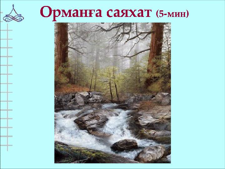 Орманға саяхат (5-мин)