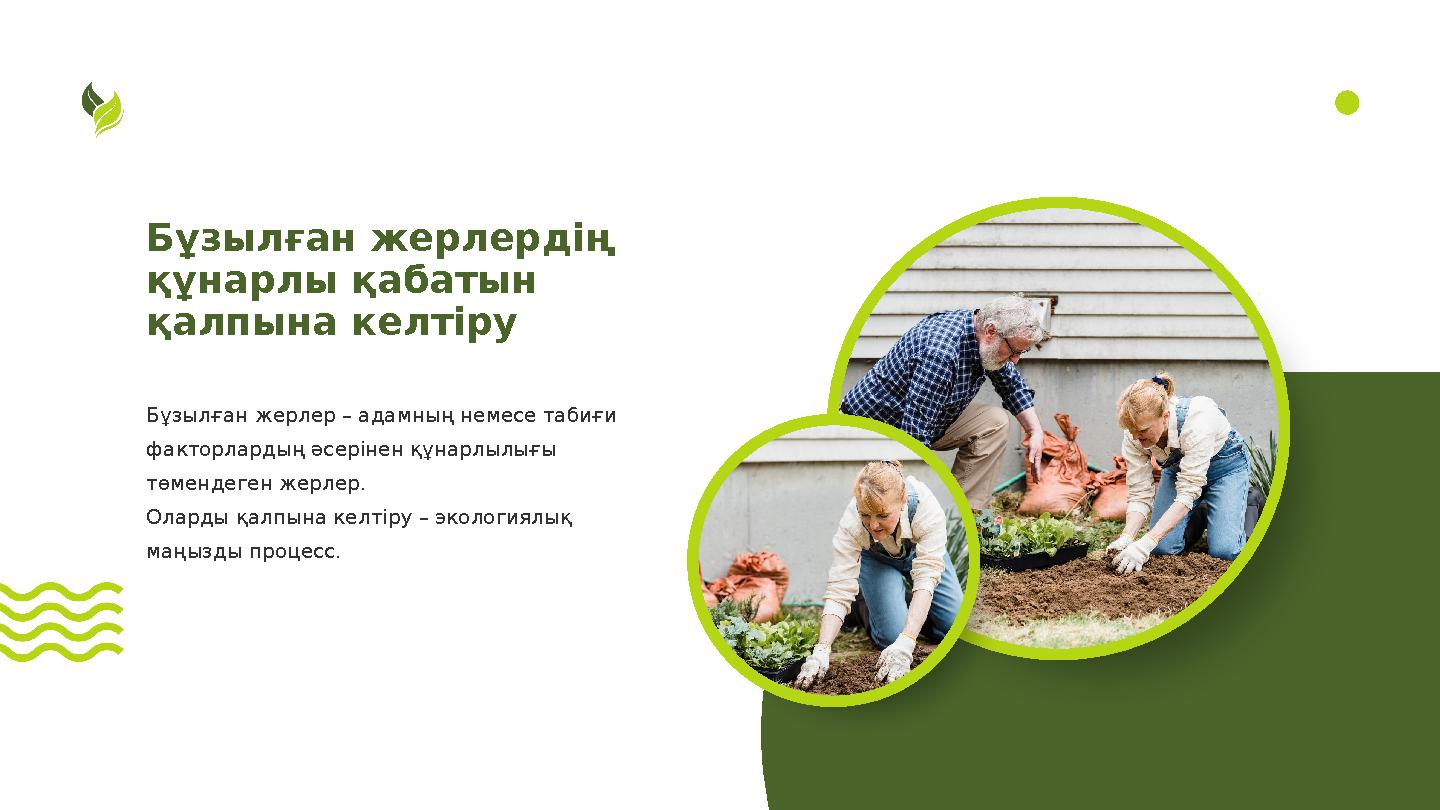 Бұзылған жерлердің құнарлы қабатын қалпына келтіру