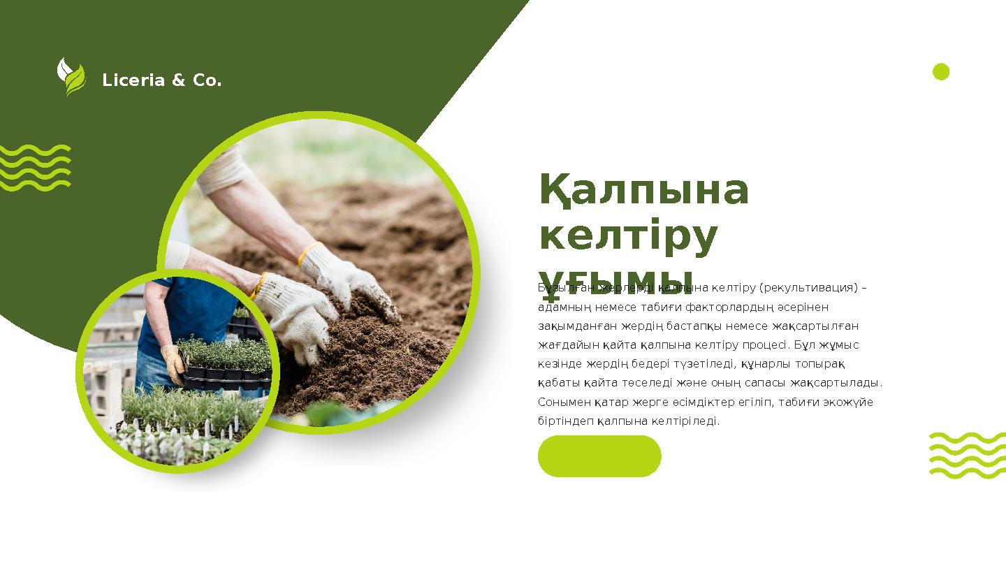 Liceria & Co. Қалпына келтіру ұғымы