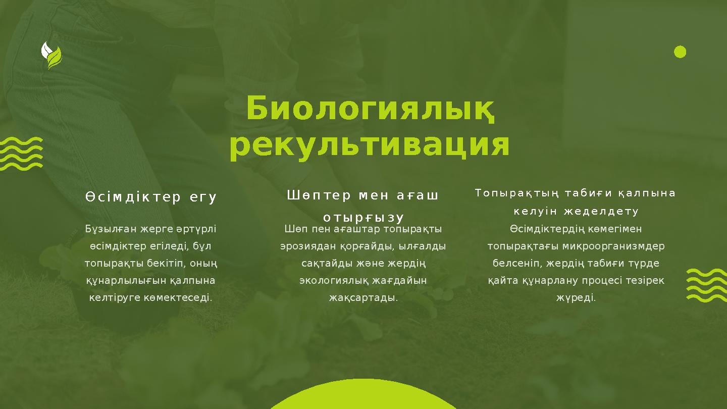 Биологиялық рекультивация Өсімдіктер егу Шөптер мен ағаш отырғызу Топырақтың табиғи қалпына келуін жеделдету