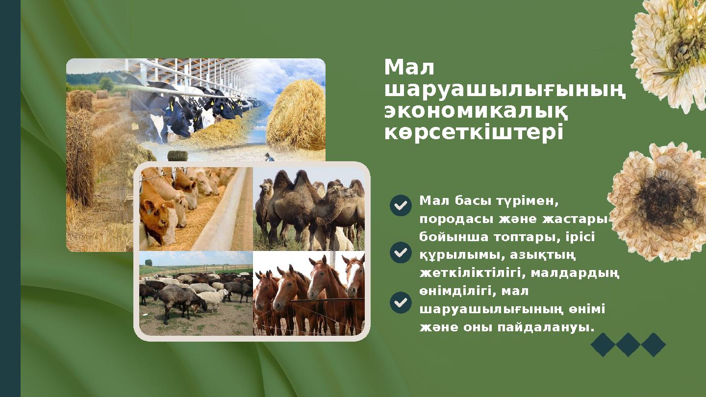 Мал шаруашылығының экономикалық көрсеткіштері Мал басы түрімен, породасы және жастары бойынша топтары, ірісі құрылымы, азы