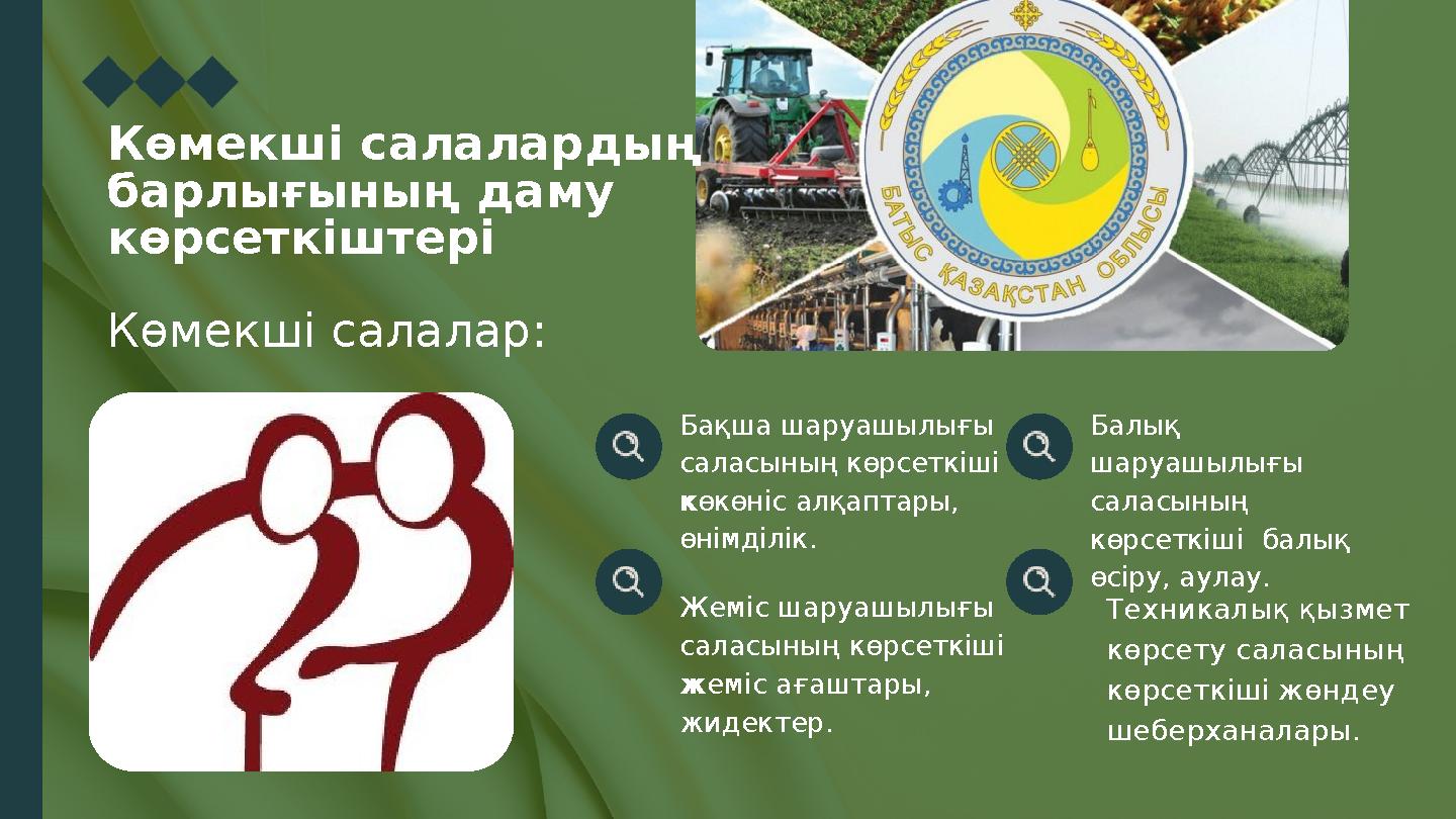 Көмекші салалардың барлығының даму көрсеткіштері Көмекші салалар: Бақша шаруашылығы саласының көрсеткіші көкөніс алқаптары,