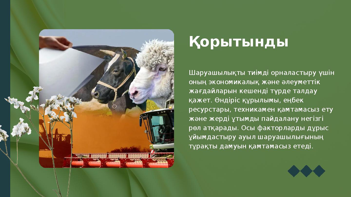Шаруашылықты тиімді орналастыру үшін оның экономикалық және әлеуметтік жағдайларын кешенді түрде талдау қажет. Өндіріс құрылы