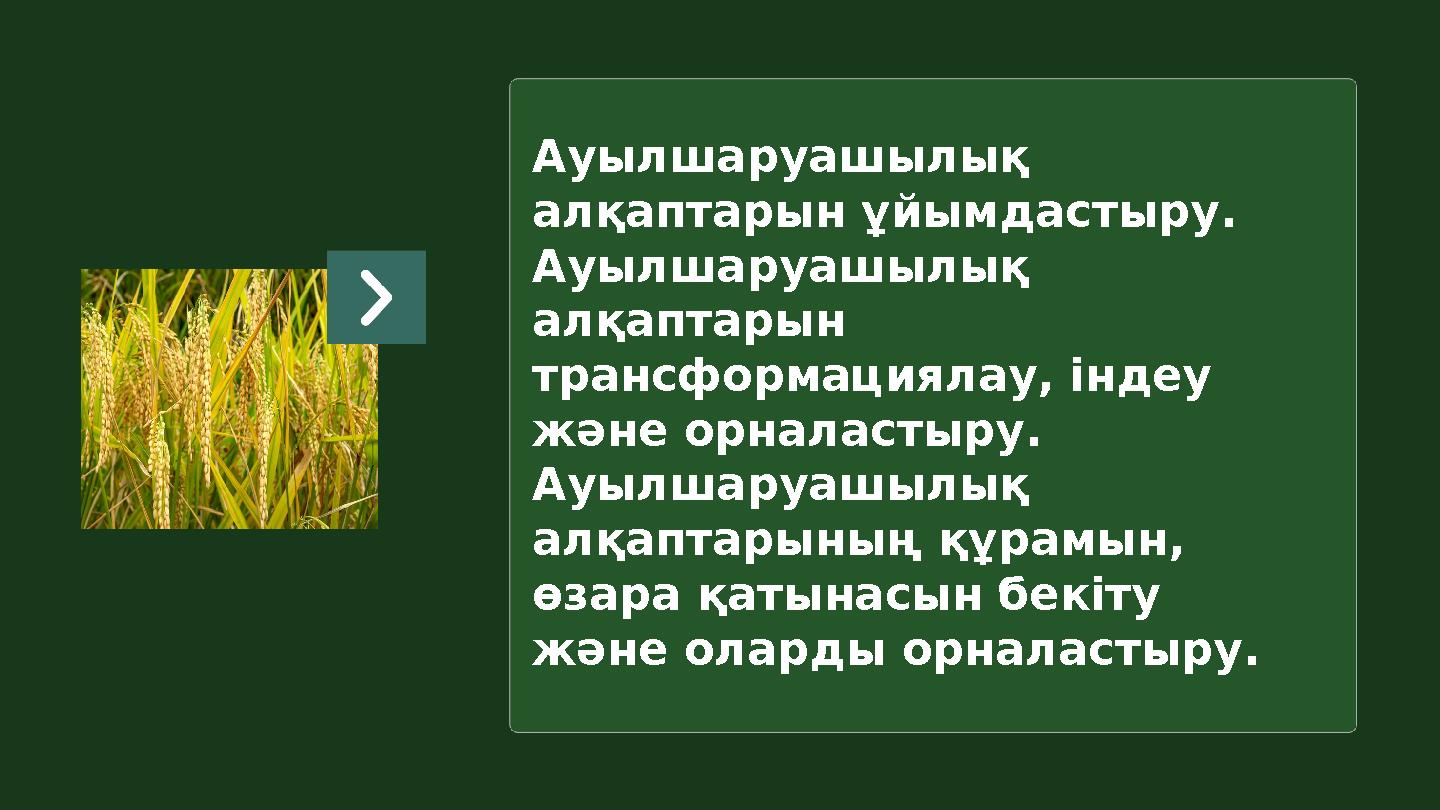 Ауылшаруашылық алқаптарын ұйымдастыру. Ауылшаруашылық алқаптарын трансформациялау, індеу және орналастыру. Ауылшаруашылық