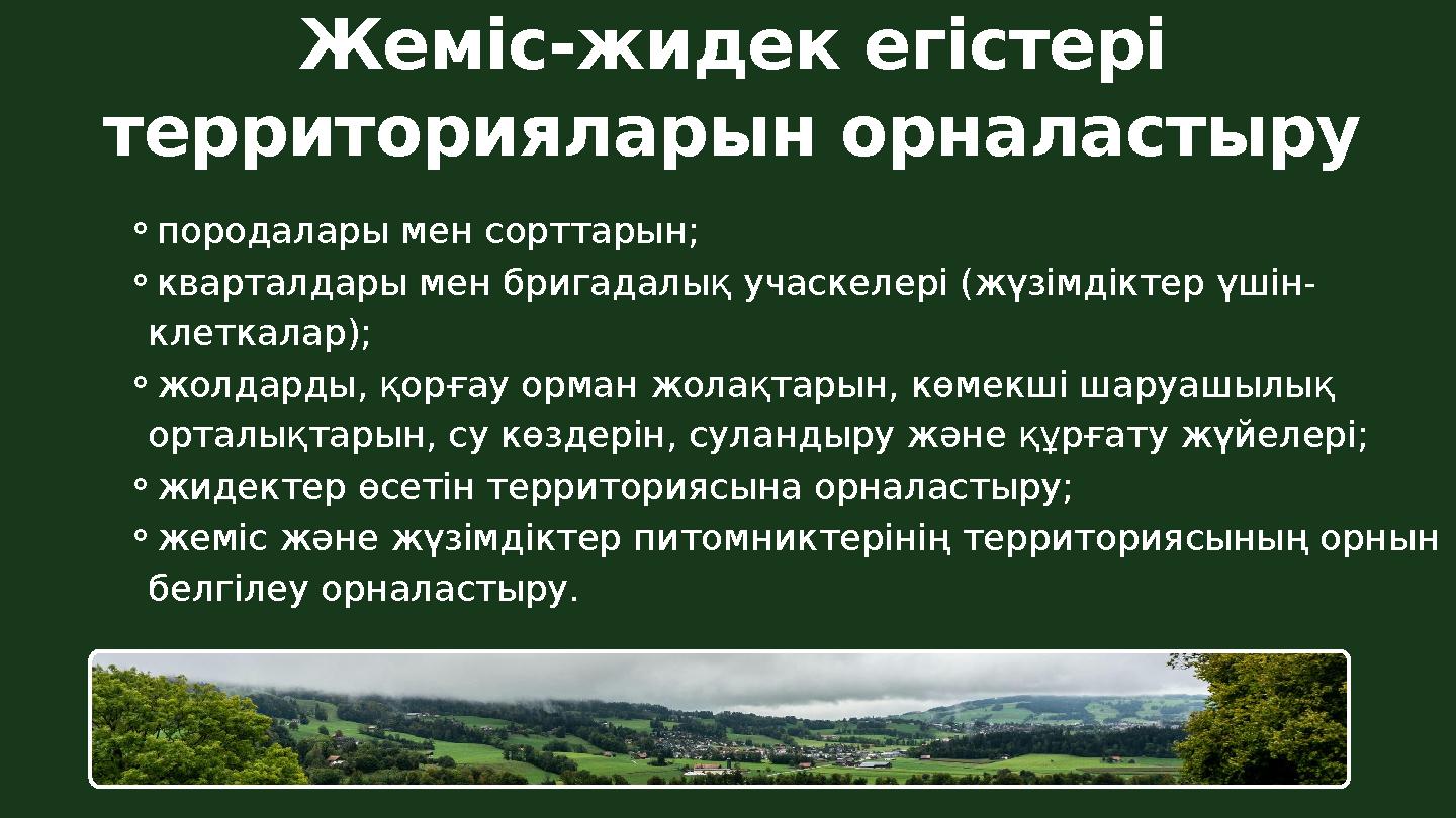 ⚬породалары мен сорттарын; ⚬кварталдары мен бригадалық учаскелері (жүзімдіктер үшін- клеткалар); ⚬жолдарды, қорғау орман жолақта