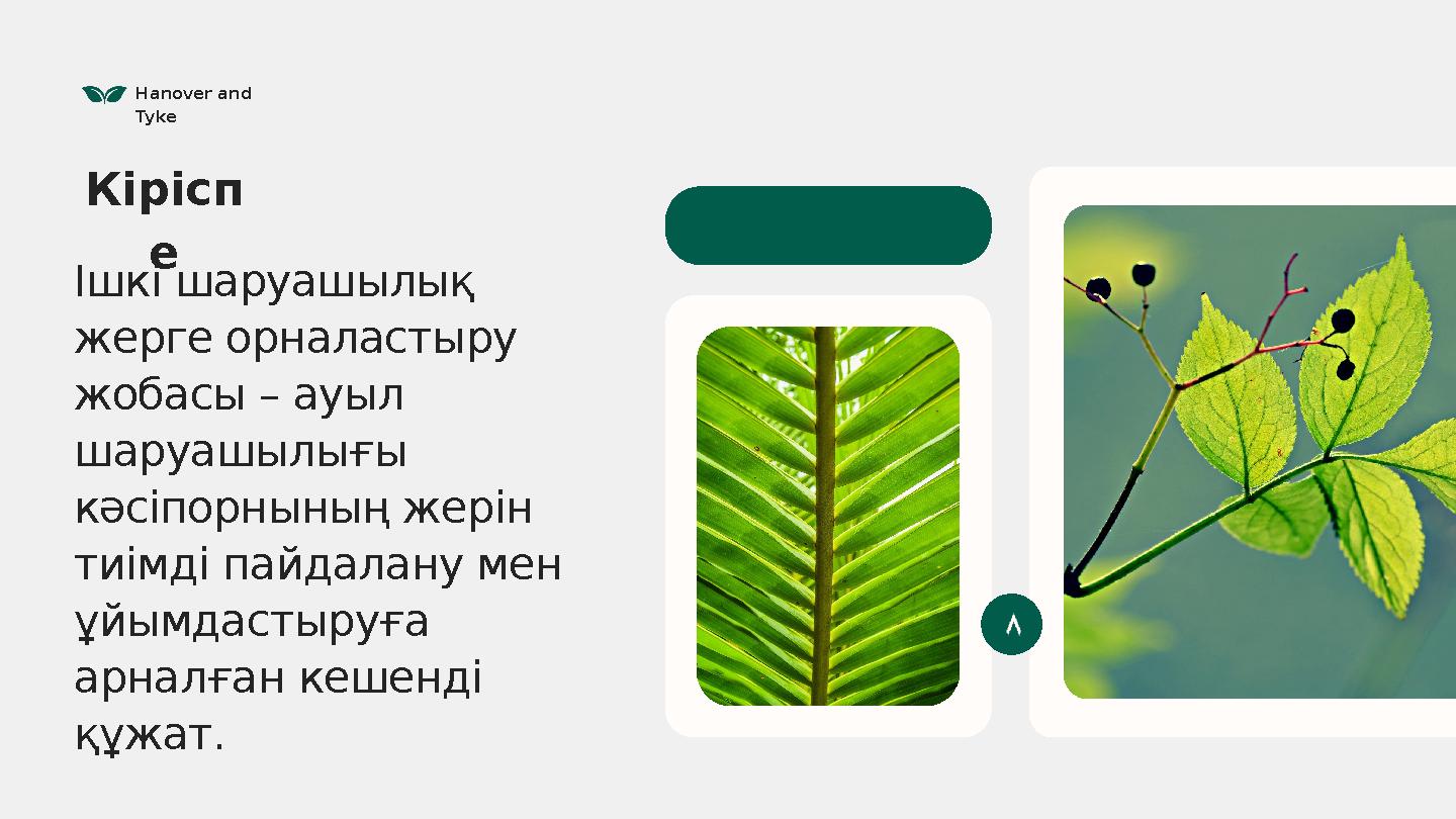 Ішкі шаруашылық жерге орналастыру жобасы – ауыл шаруашылығы кәсіпорнының жерін тиімді пайдалану мен ұйымдастыруға арналға