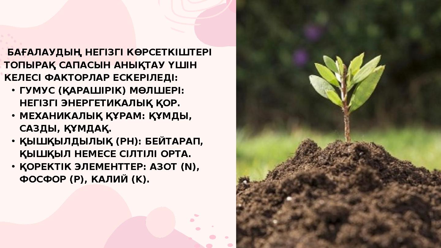 БАҒАЛАУДЫҢ НЕГІЗГІ КӨРСЕТКІШТЕРІ ТОПЫРАҚ САПАСЫН АНЫҚТАУ ҮШІН КЕЛЕСІ ФАКТОРЛАР ЕСКЕРІЛЕДІ: •ГУМУС (ҚАРАШІРІК) МӨЛШЕРІ: Н